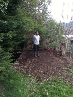 Newly cleared apiary