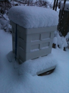 Remember this? Snow on the hive, March 2018 (and yes we did clear the entrance!)